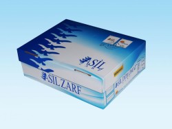 Asil Diplomat Zarf Silikonlu 1.Hamur 110 gr. Düz 500 lük Kutu - Asil