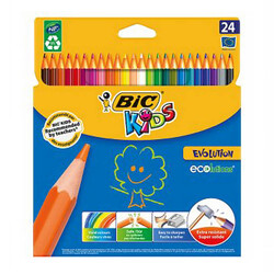 Bic Evolution Kuru Boya Kalemi 24 Renk - Bic