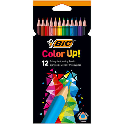 Bic İntensity Kuru Boya Kalemi 12 Renk - 1