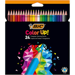 Bic İntensity Kuru Boya Kalemi 24 Renk - Bic