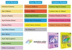 Spectra Color Renkli Fotokopi Kağıdı A4 80gr - 1 Koli (5 pk x 500 sy.) - Spectra Color